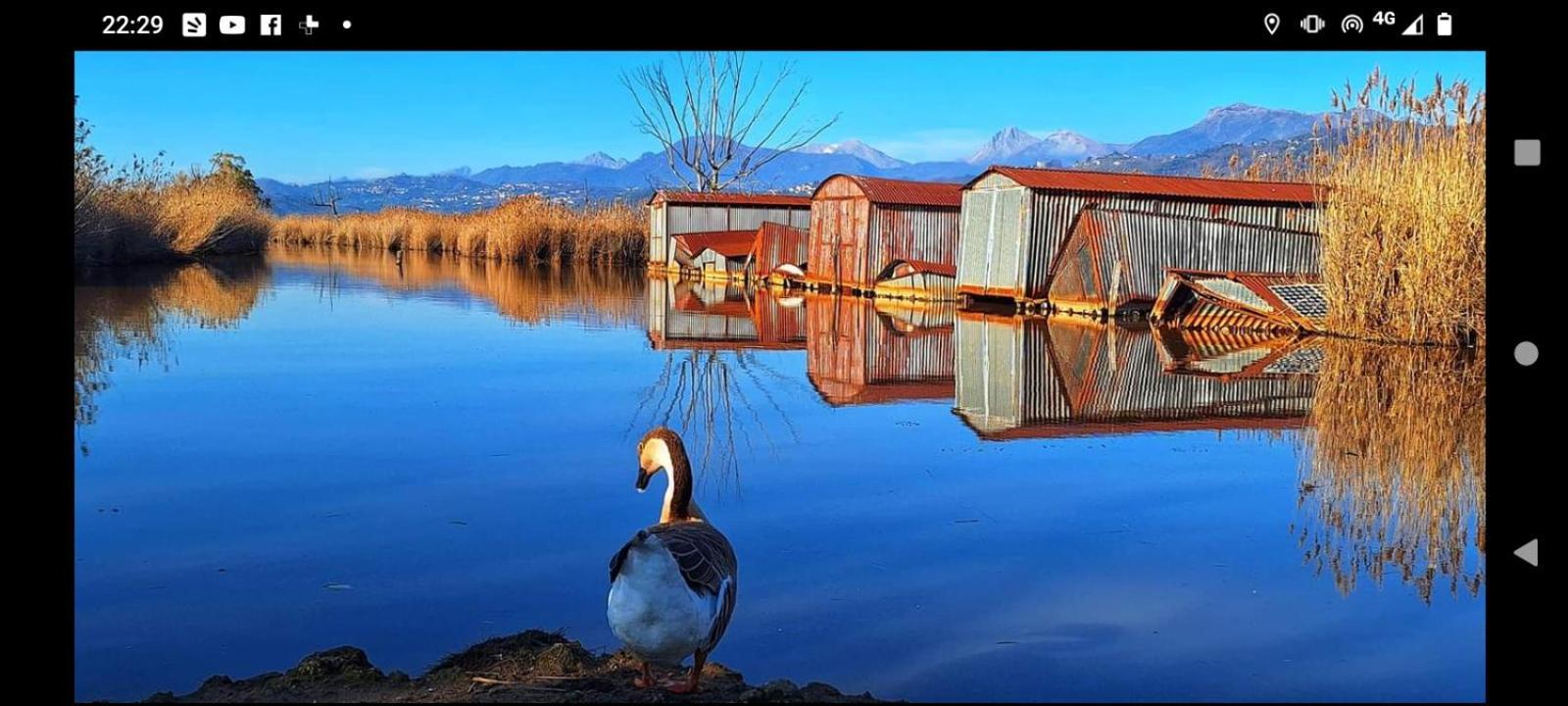 Casa Vacanze Toscana,Lago Di Massaciuccoli Buitenkant foto