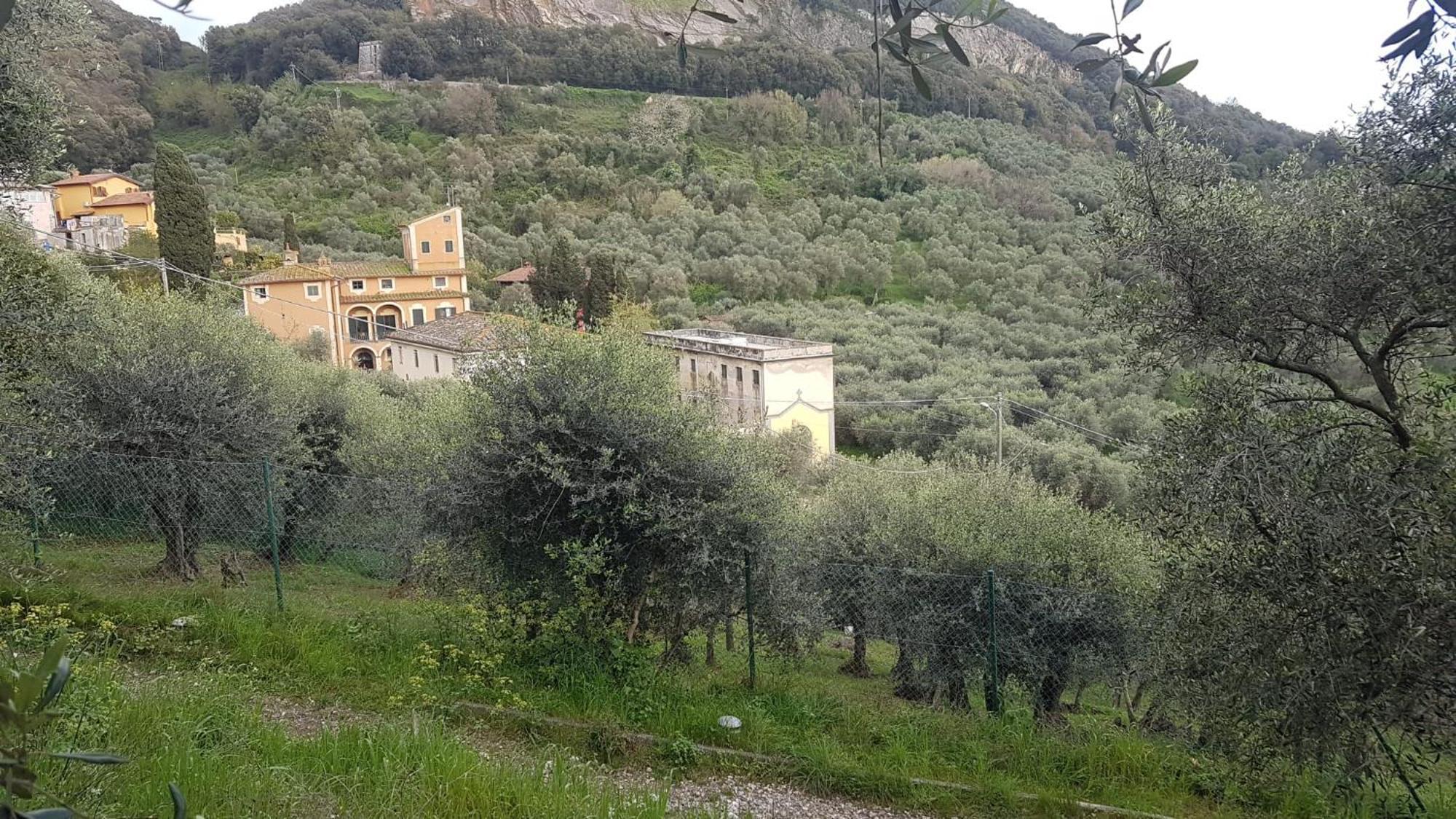 Casa Vacanze Toscana,Lago Di Massaciuccoli Buitenkant foto