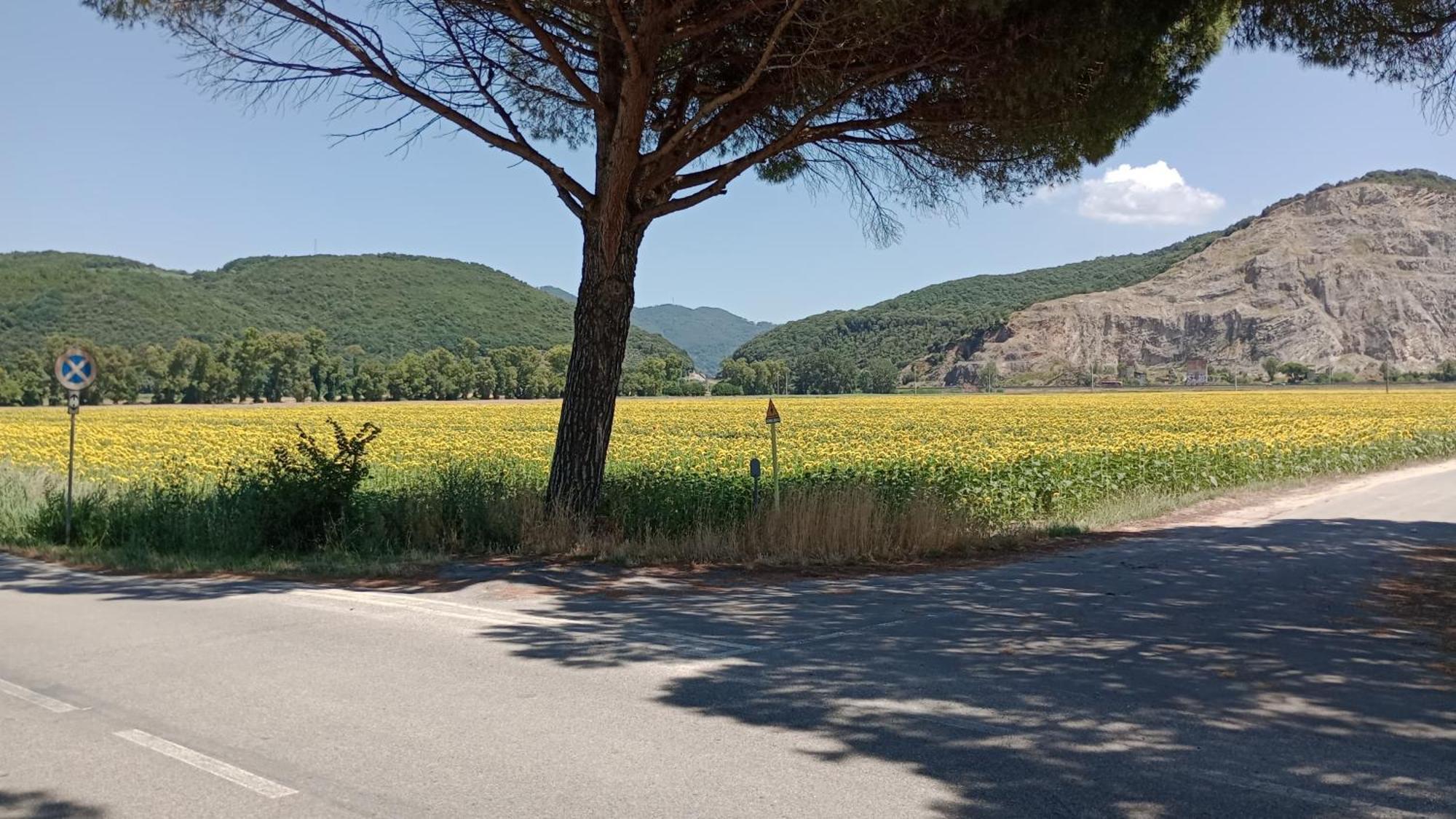 Casa Vacanze Toscana,Lago Di Massaciuccoli Buitenkant foto